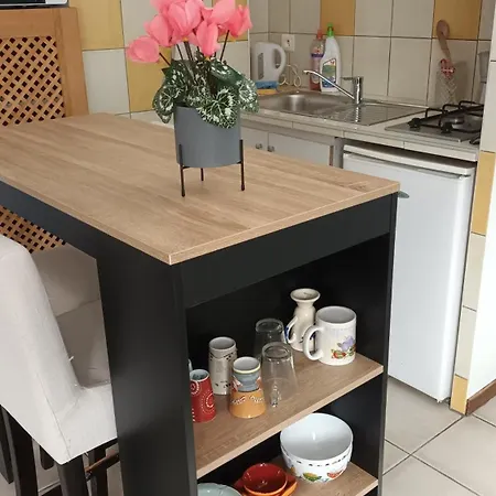 Petit T2 Au Centre Apartment
