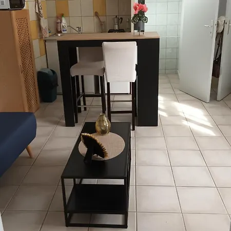 Petit T2 Au Centre Apartment