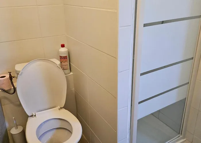 Agreable T2 Au Centre *