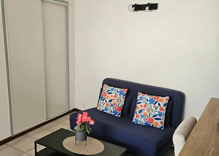 Agreable T2 Au Centre מנוסק